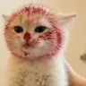 кузен emote