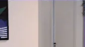 jimeCheck emote