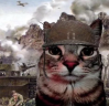warCat emote