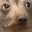 creatureConcerned