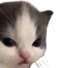 notHehe emote