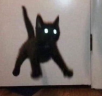 EEK emote