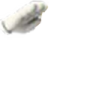 Salute emote