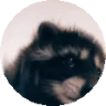 pedro emote