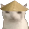 ChinaCatEat emote