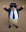 NicoisnKek