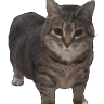 byeOps emote