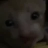 ouh emote