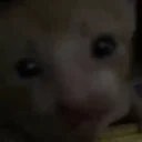 seventv_01HCZ6VSW00002P0ZDTYVGYJ3N