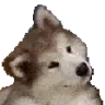confusedd emote
