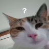 an? emote