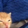 braindeadd emote
