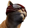 SpiderCatVibe emote