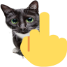 fuckyou emote