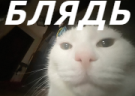 blyad emote