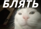 BLYAT emote