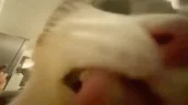 nuh emote