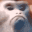 madMonkey