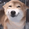 goodboy emote