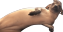creatureOgre