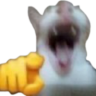 HAHA emote