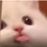 blalalala emote