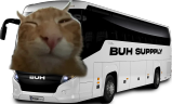 buhs emote
