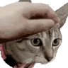PETTHENALA emote
