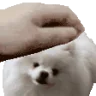 PETTHEMOCHI emote