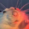 RatDance emote