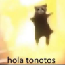 holatonotos emote