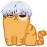 zxcCat emote
