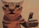 k emote