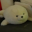 seal
