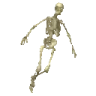 TRIPP emote