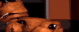 widefreddypls