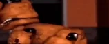 widefreddypls