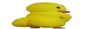 widerduckass emote