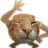 buhFriend emote