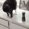 lilpush emote