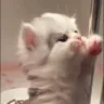 Pain emote