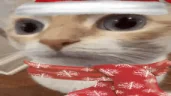 uuh emote