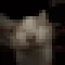 giggle emote
