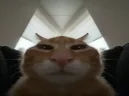 buub emote