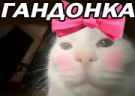 GANDONKA emote