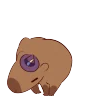 capydance emote