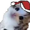 Erm emote
