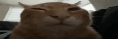 seventv_01HEFM16G80006REJ2K5EAN69W