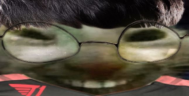 xddfaker emote