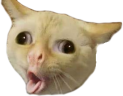 Hurk emote